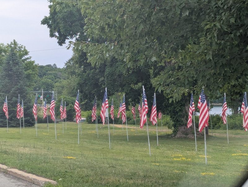 American flags along the road