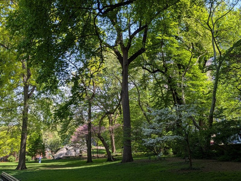 Central Park and New York — photograph 1