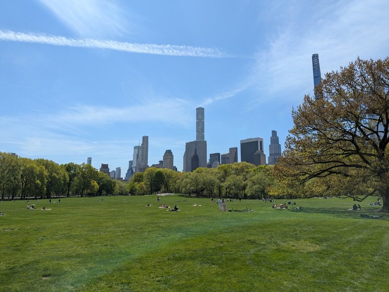 Central Park and St. John the Divine — photograph 3