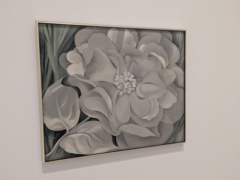 New York museum visits — photograph 5