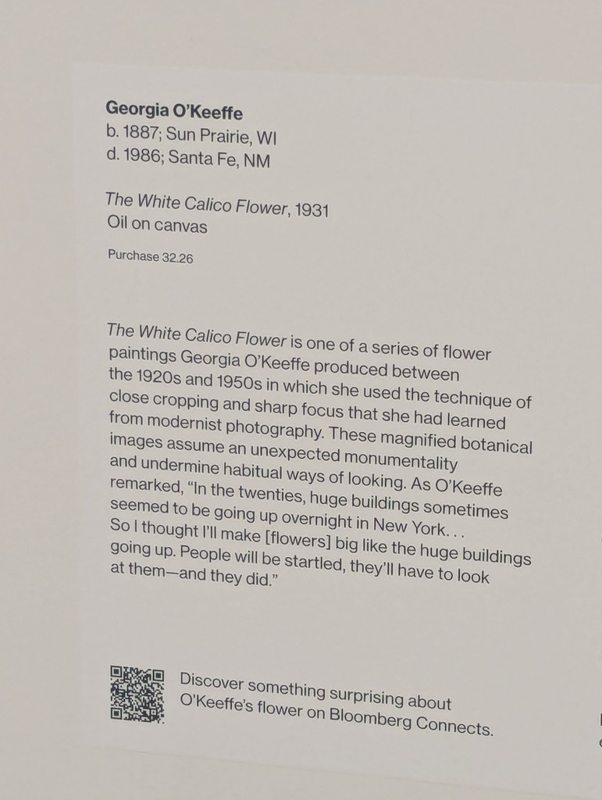 New York museum visits — photograph 6